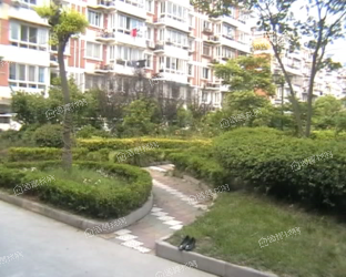 东波苑