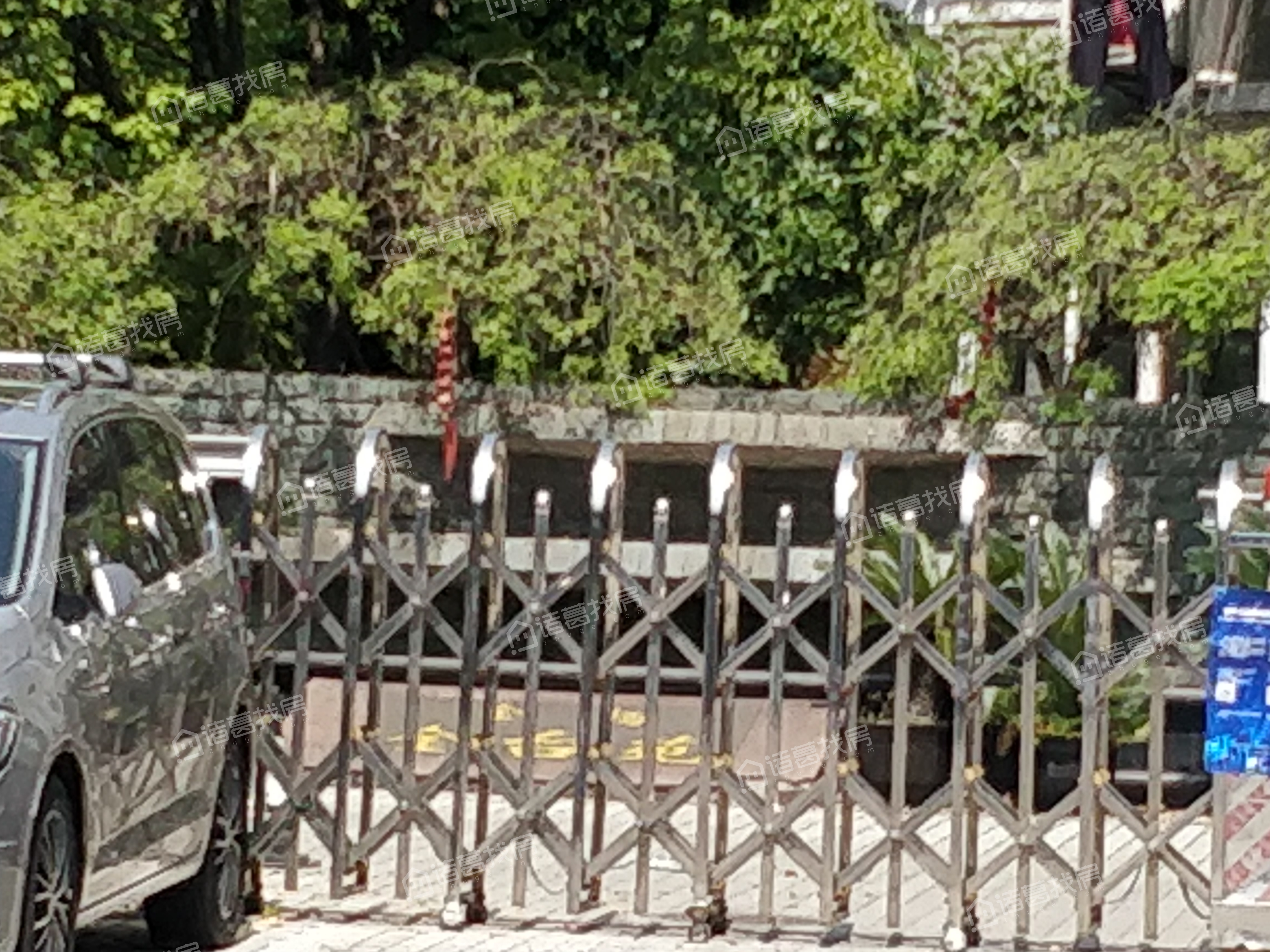 金杨金台苑