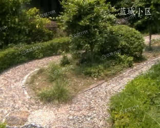 柳埠