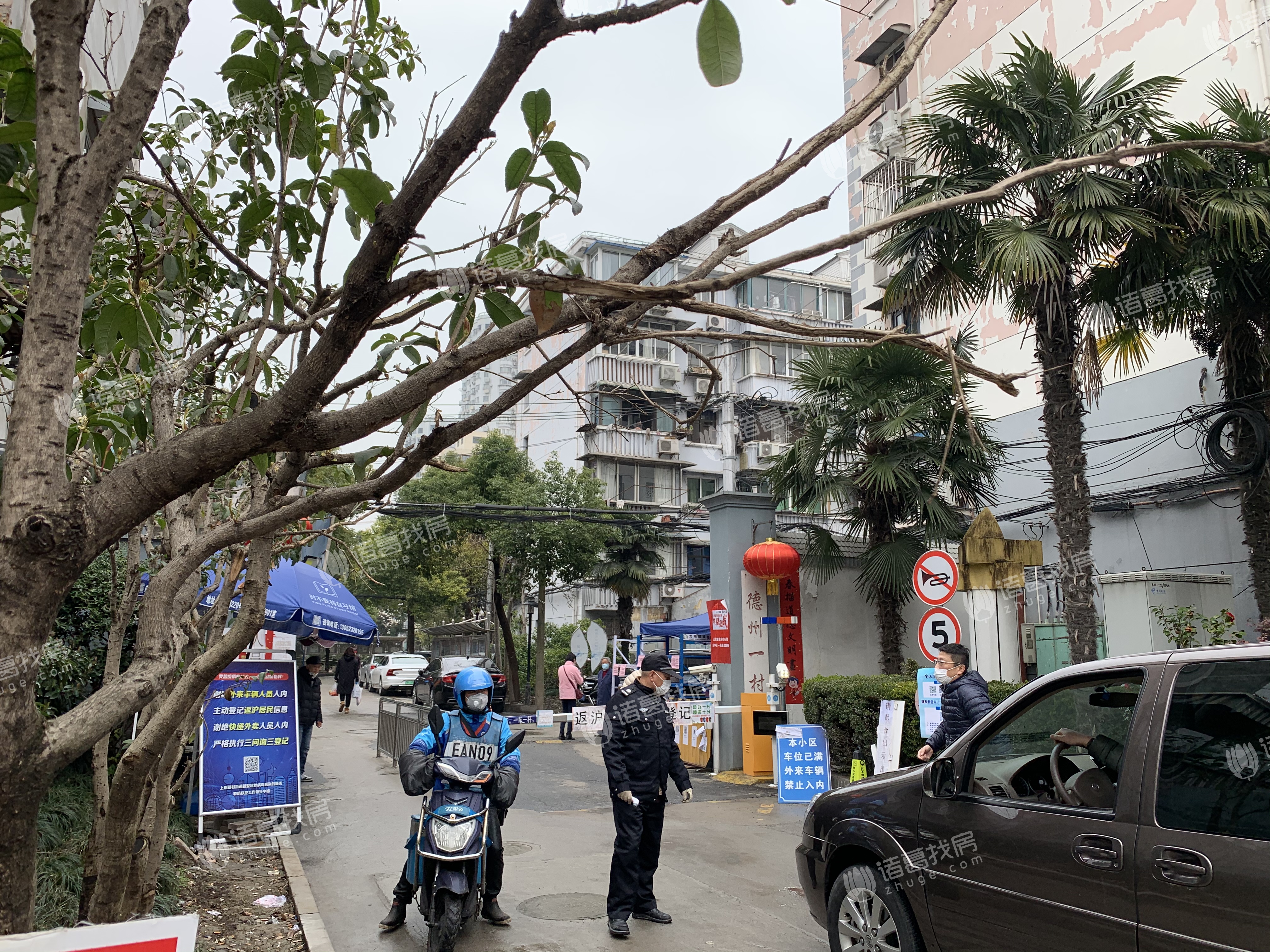 德州一村