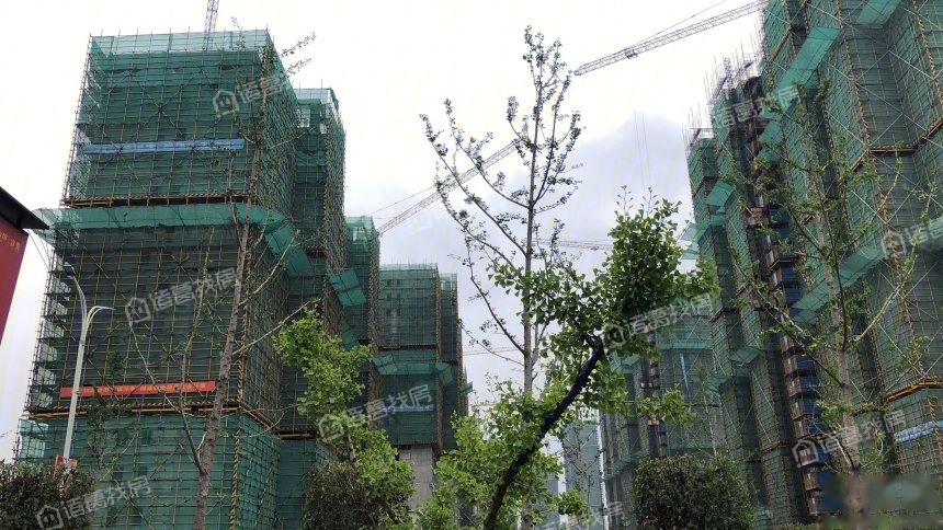 金奥文昌公馆富贵