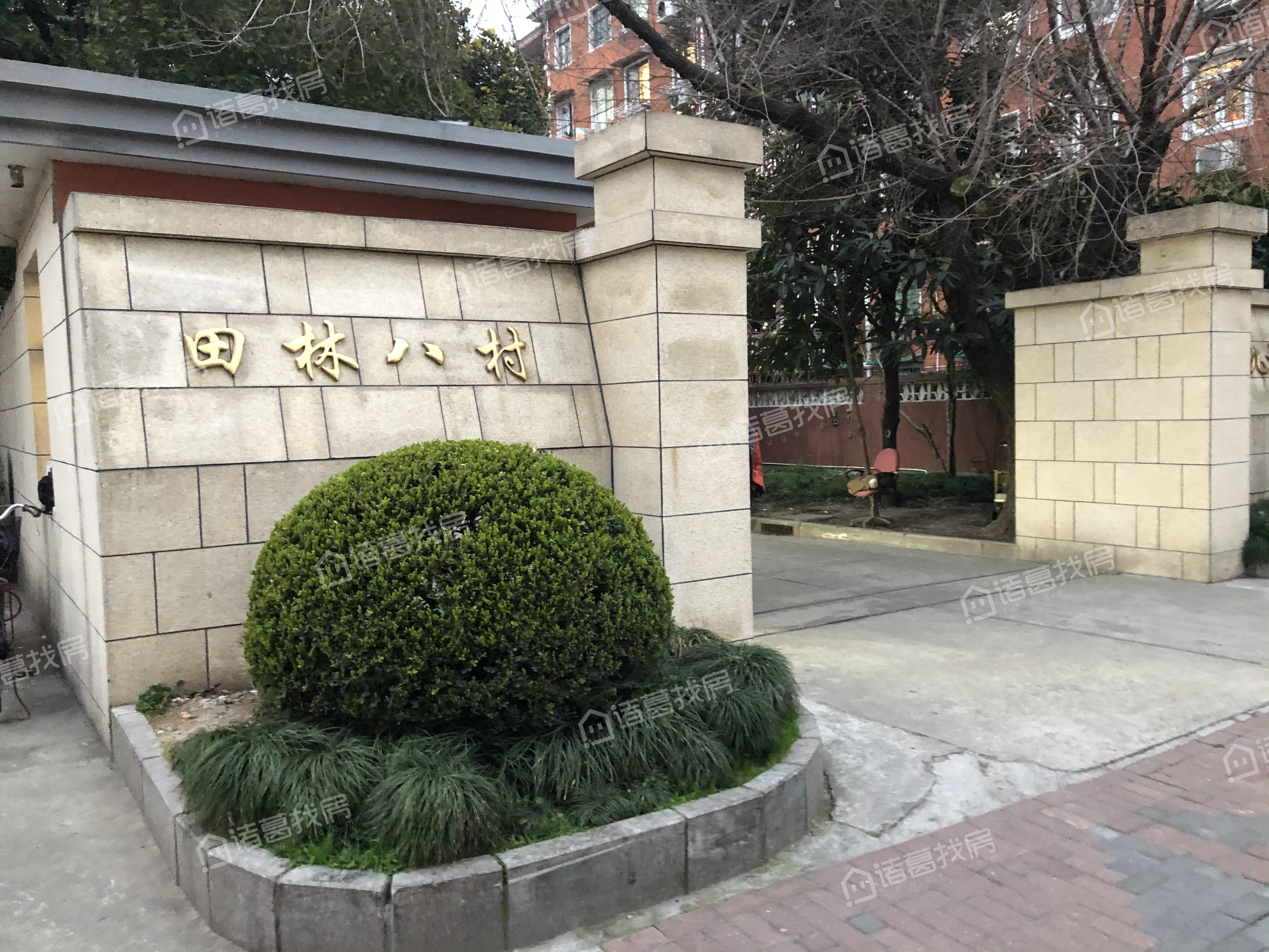 田林八村