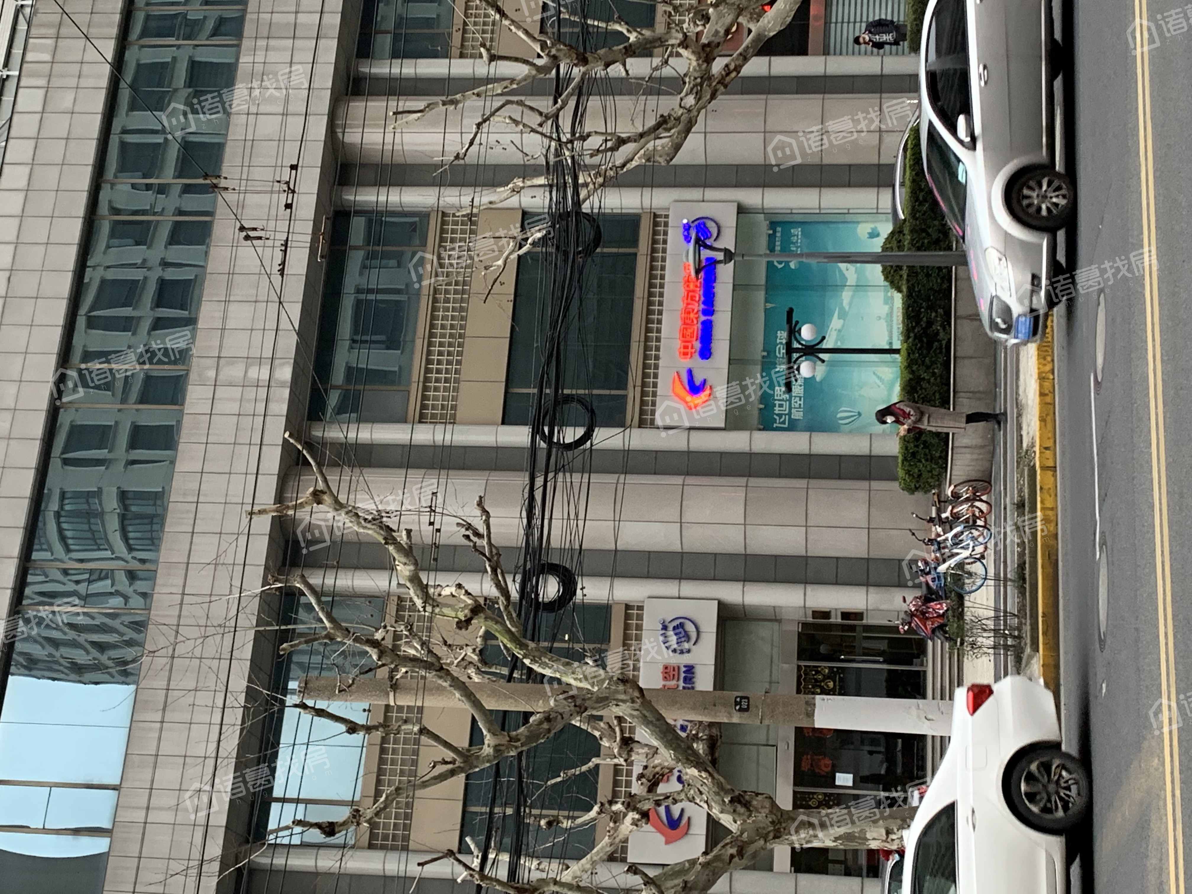 香樟花园