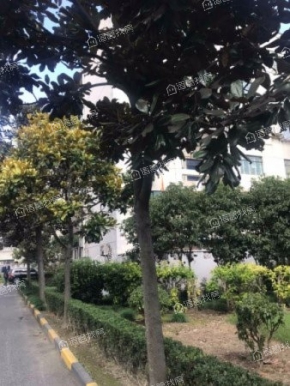 兰花教师公寓