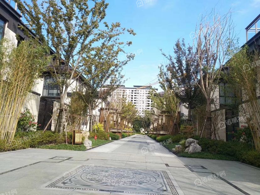 泰禾大城小院