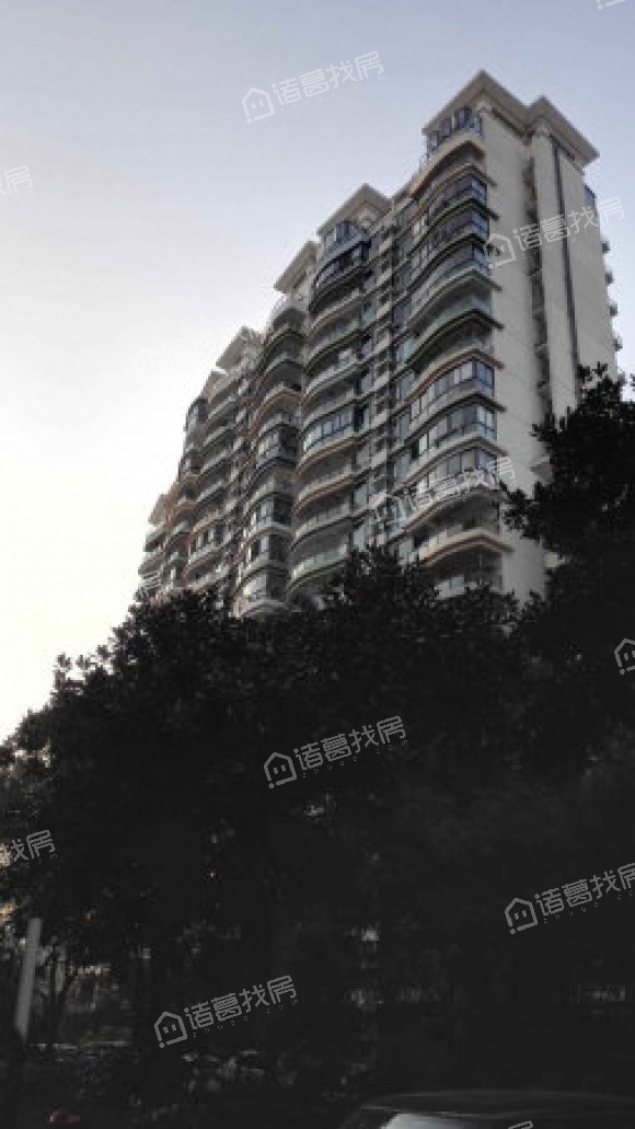 上海知音