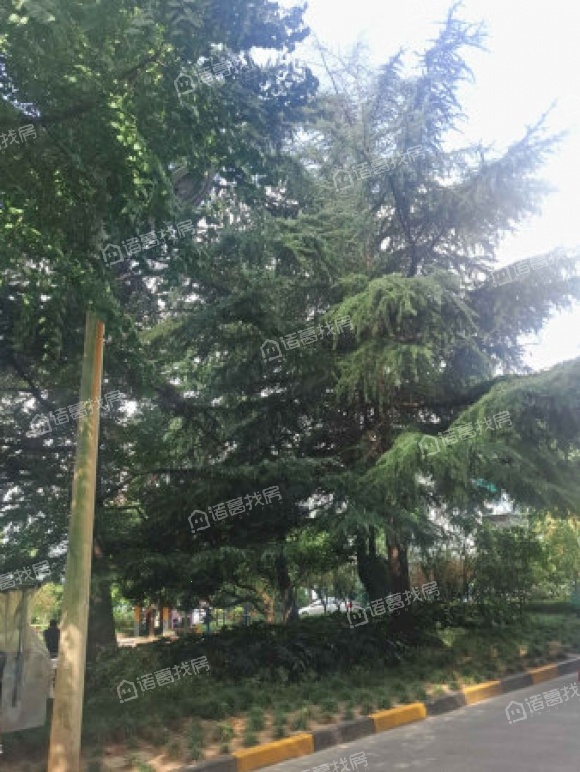 长风一村