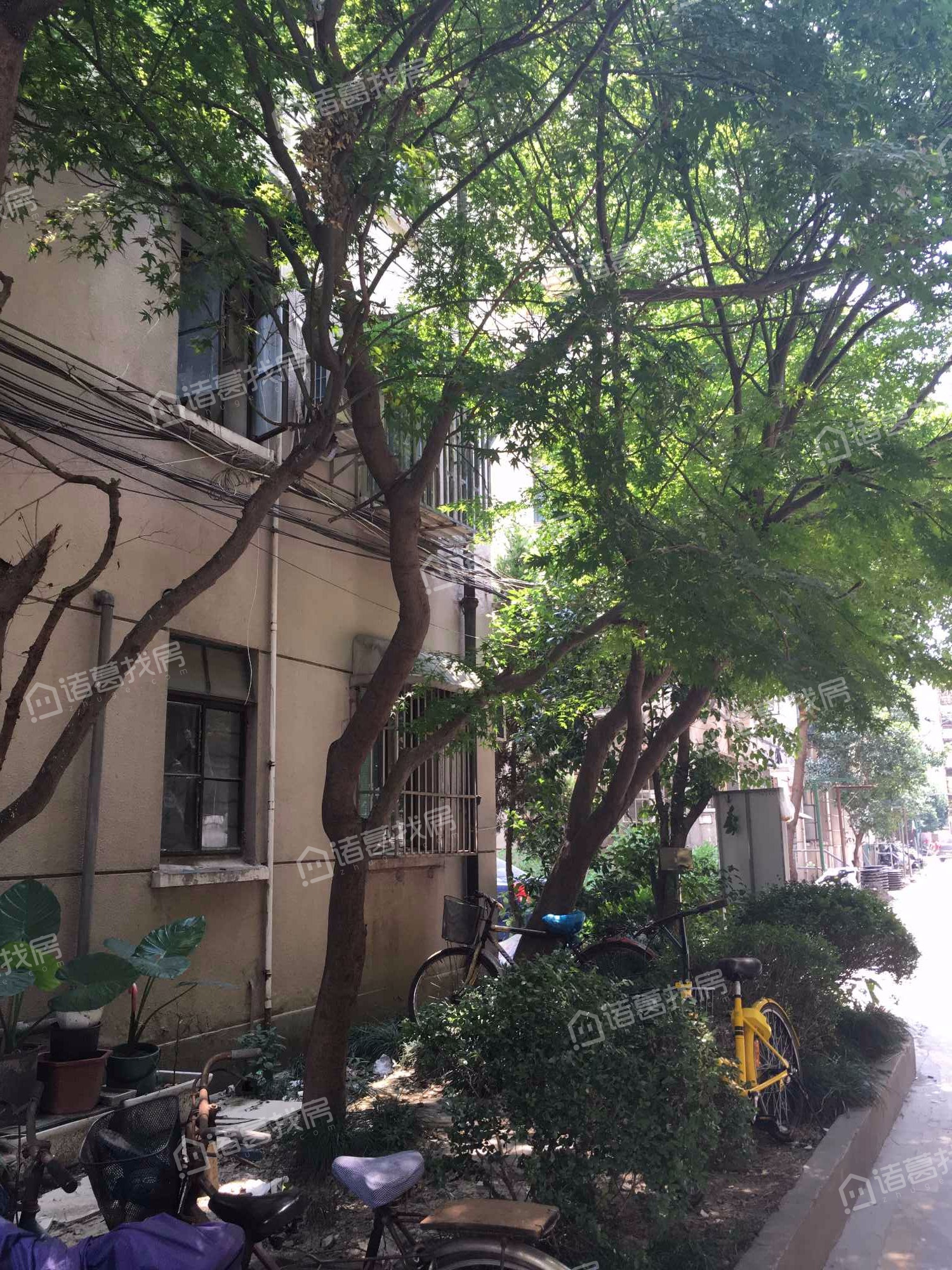 双阳一村