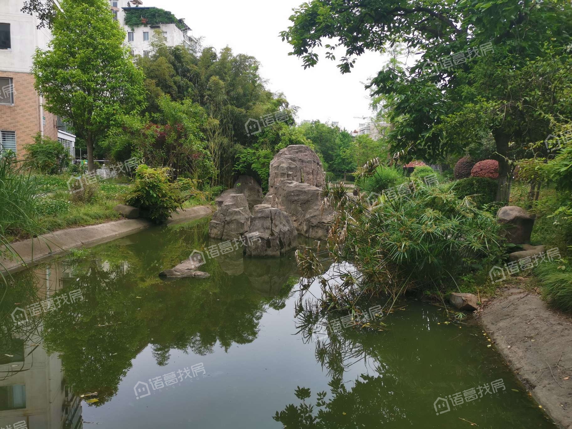上海未来