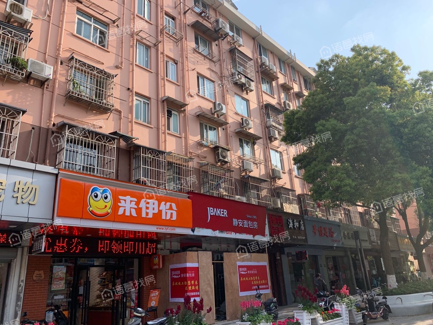 由由园中苑