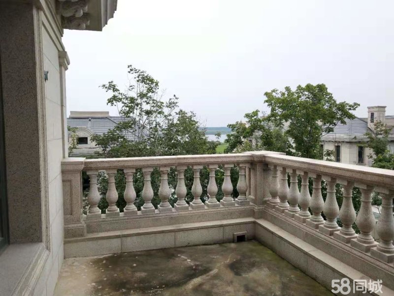 天茂凡尔赛庄园二手房,天茂湖凡尔赛 慧谷学校 纯石材双拼别墅 闹中取