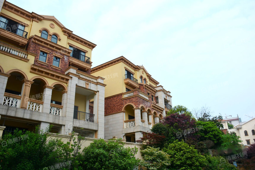 蔷薇国际图片相册,户型图,样板间图,装修效果图,实景图-长沙诸葛找房