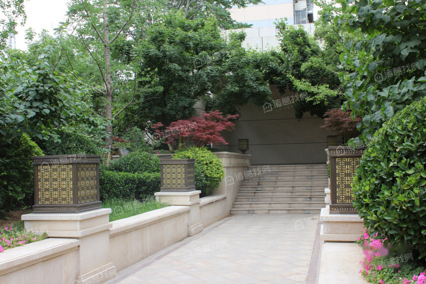 1帝王国际万悦府图片相册,户型图,样板间图,装修效果图,实景图-石家庄