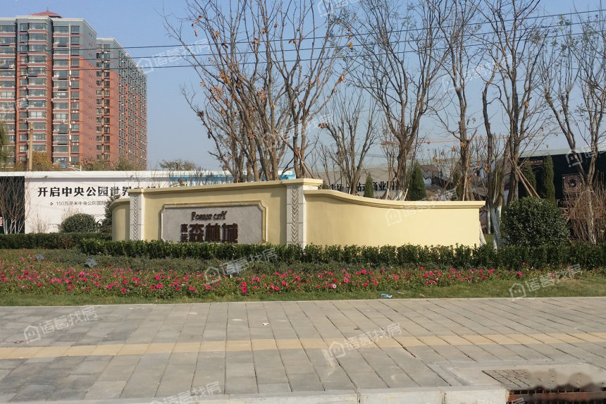 高远森林城霖语_石家庄高远森林城霖语房价,户型,楼盘信息-石家庄诸葛