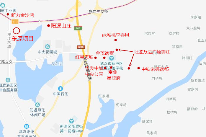 武汉市阳逻区地图图片