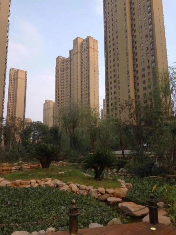       整租   九龙湖花园小区高层