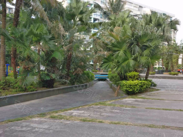 【夏湾2500-3500元租房_夏湾房屋出租|珠海夏湾整租房】-珠海诸葛找房