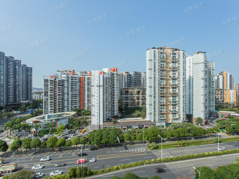               整租   深业新岸线