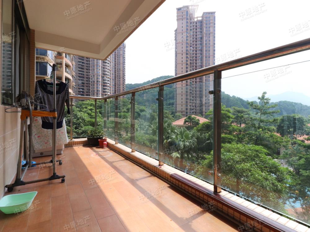 【淘金山湖景花园不限元朝南朝南北租房_淘金山湖景花园房屋出租|深圳