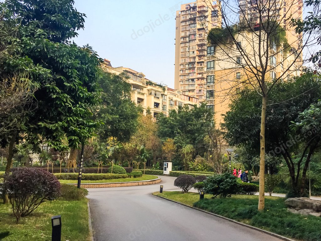 重庆6号线状元碑租房_重庆6号线状元碑房屋出租价格,租房平台_状元碑