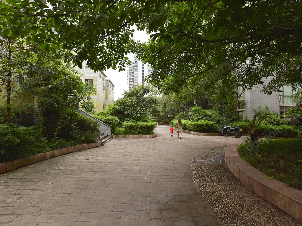                 整租   丽景雅苑