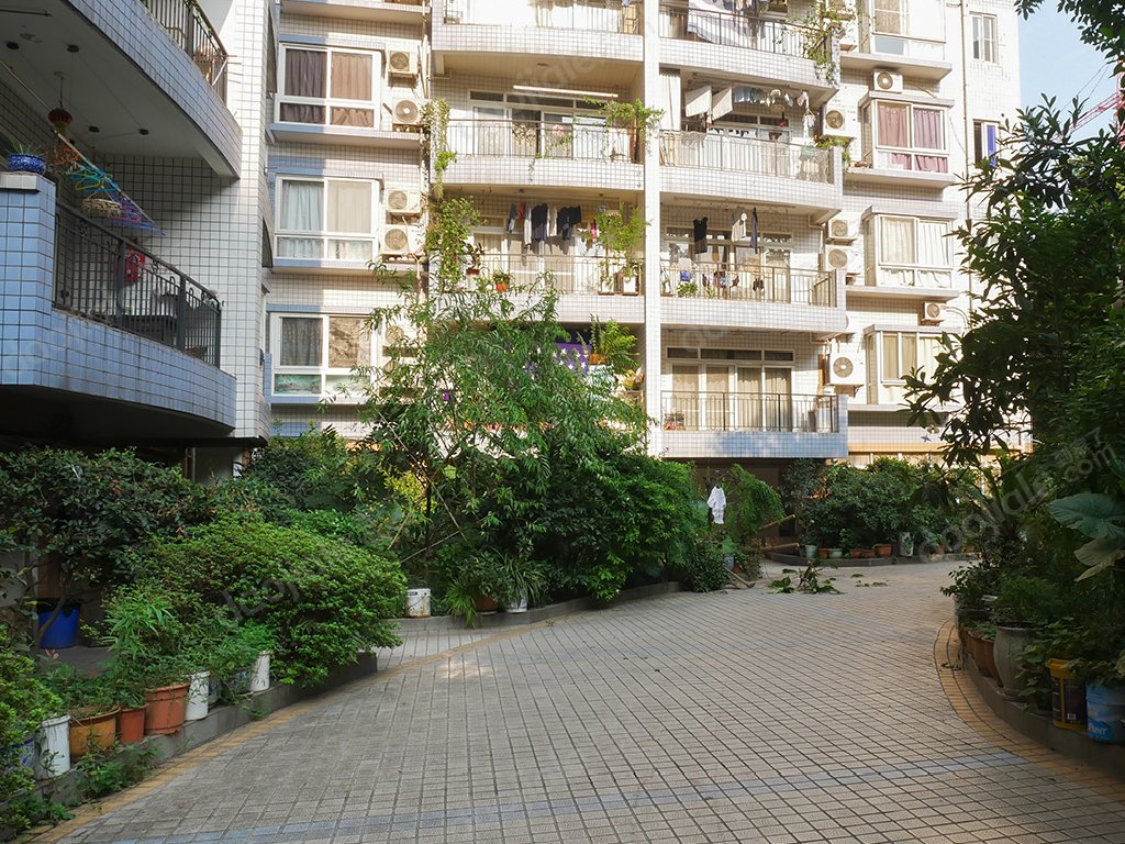 【绿苑小区租房_绿苑小区房屋出租|重庆绿苑小区整租房】-重庆诸葛找