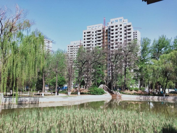 经纬文苑二手房,榆次 经纬文苑 2室2厅榆次 经纬文苑 2室2厅,首付约