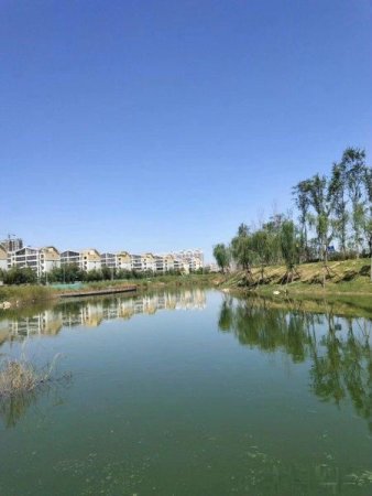 海港花园,菏泽海港花园,租房,二手房-菏泽诸葛找房