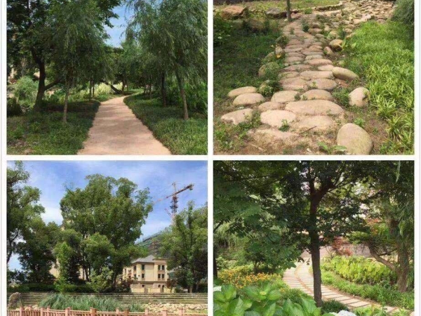 御琴湾二手房,武义 御琴湾 2室2厅武义 御琴湾 2室2厅,首付约:20.