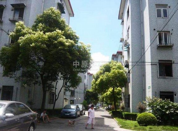 古美小区(东兰路121弄,小户型,不靠近马路,房型正气,现代风格二手房