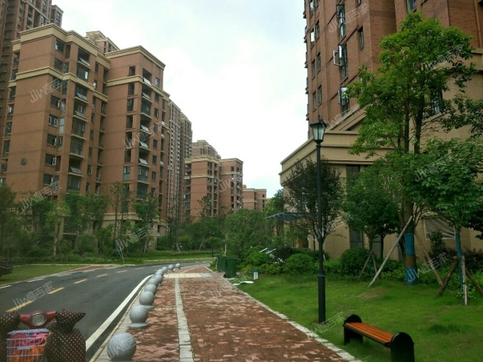 愿景城c区 通透三房 随时看房