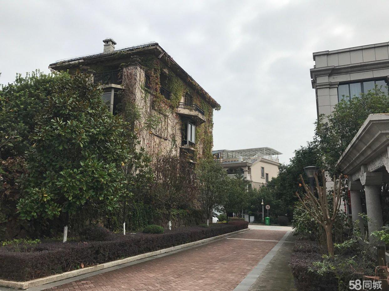 云顶美墅4室2厅4卫