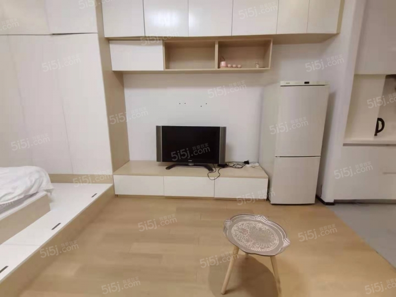 雨花客厅天隆寺精装单身公寓二手房