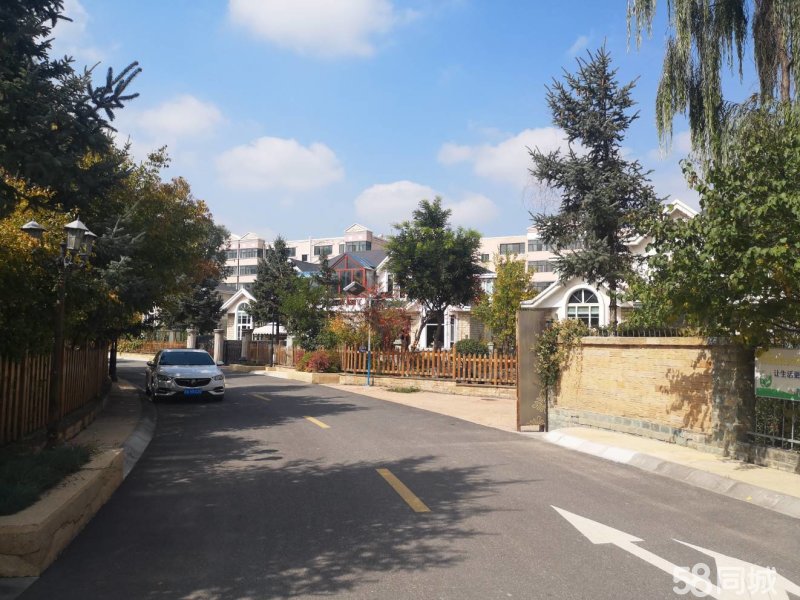 城南新新区卧龙别墅山庄,独栋别墅室内停车位带200平左右花园