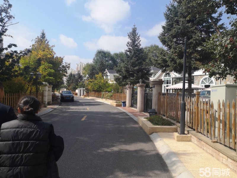 城南新新区卧龙别墅山庄,独栋别墅室内停车位带200平左右花园