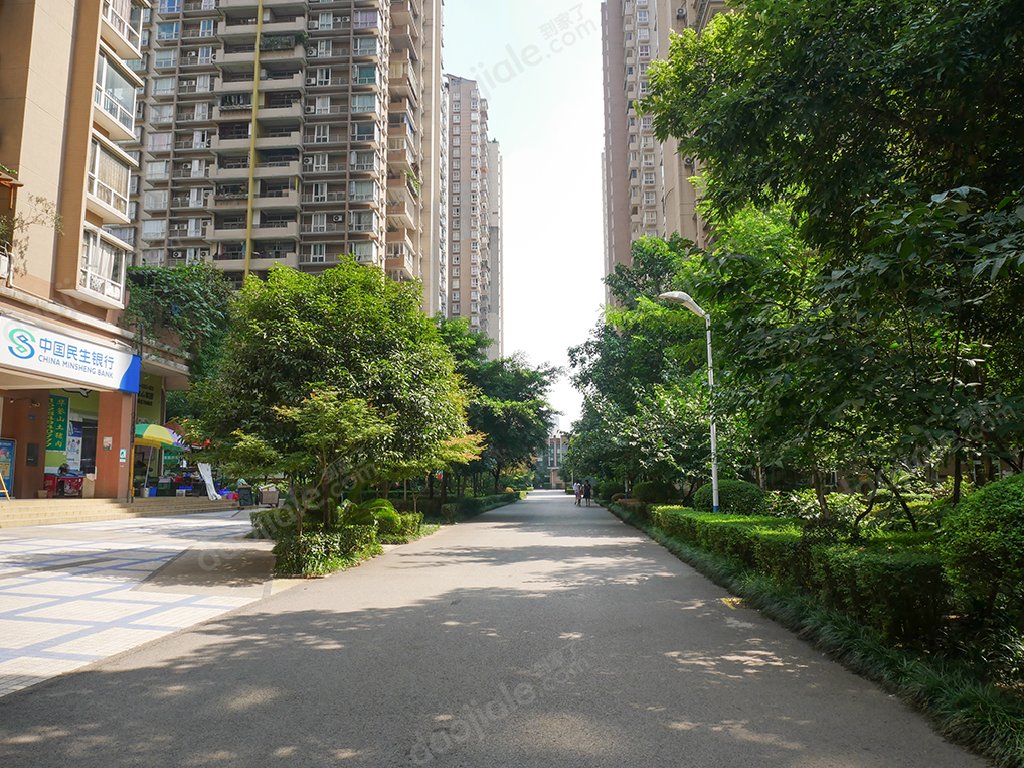 诚投天邻风景