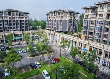 渝北区农业园区 隆鑫鸿府一房85万 朝中庭,满二,拎包入住