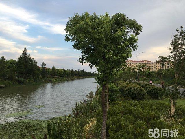 奉贤南青村申隆二村靠近申隆生态