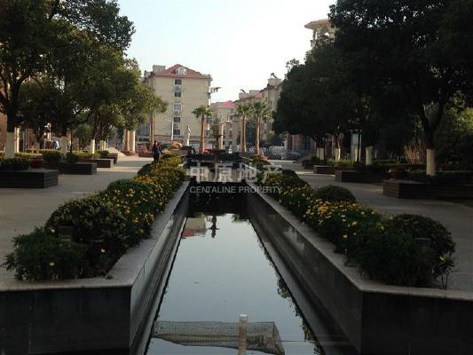 老闵行丽都城毛坯大三房南北通透中间楼层看房方便